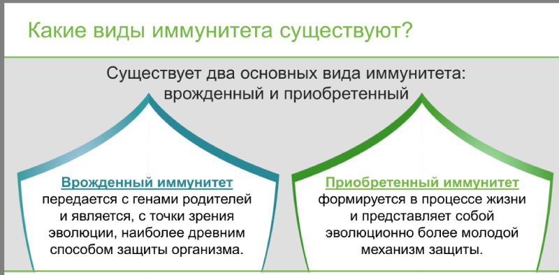 Какие виды иммунитета существуют фото